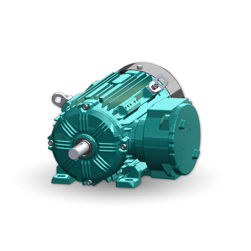 Hazardous Area Industrial Motor WEX3