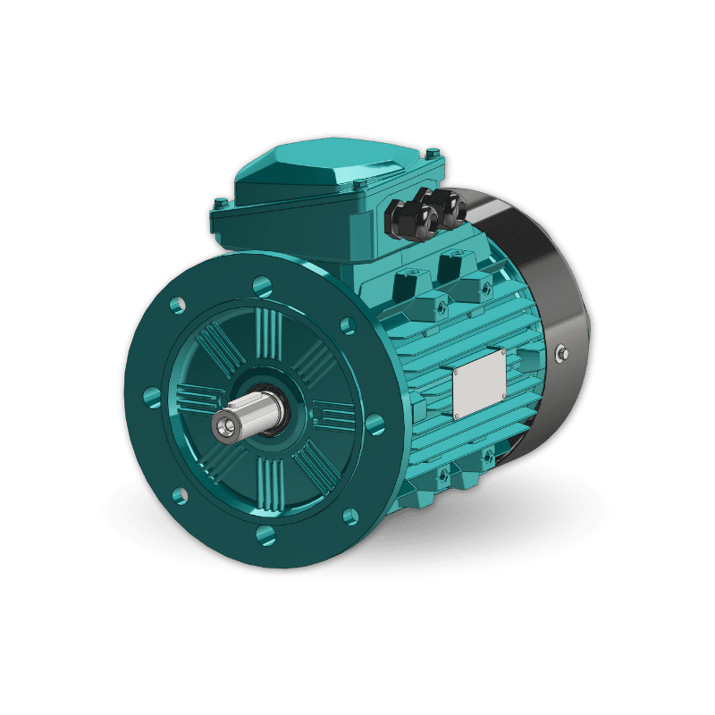 WE3 Motor Flange Mounted