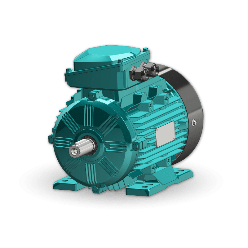 Brook Crompton WE Range Motor WE3 Foot Mounted