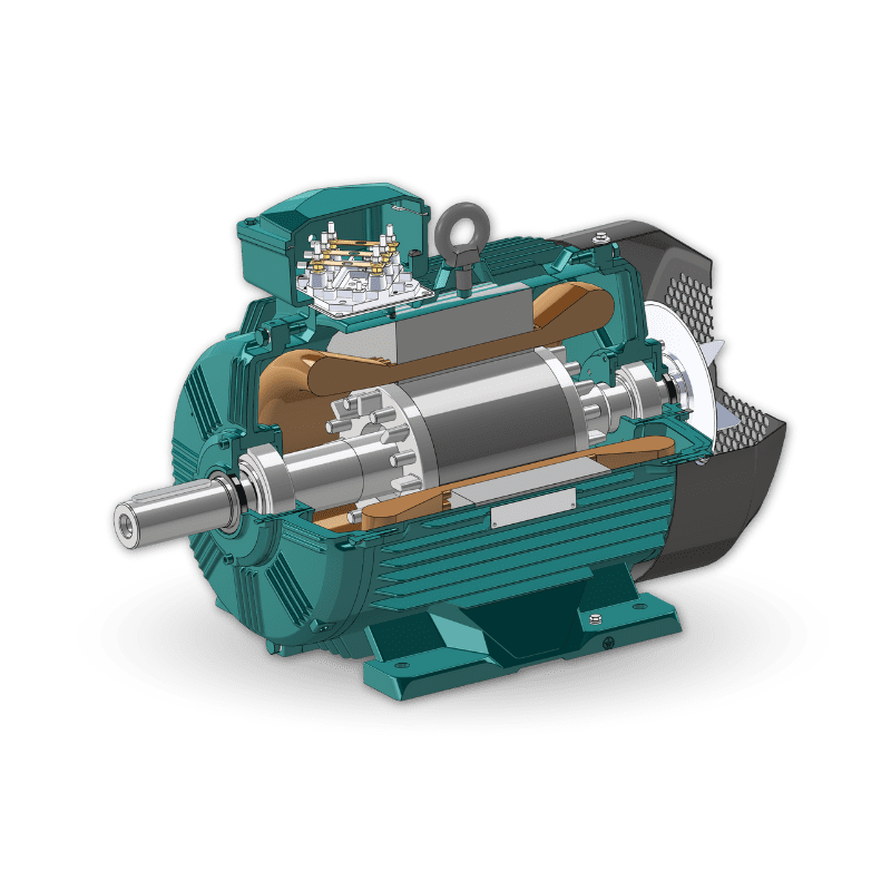 WE WIMES Spec Motor Inside View 180L Frame