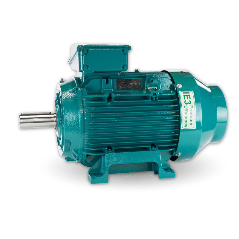 Industrial Cast Iron Electric Motor