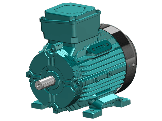 Brook Crompton Electric Motors World Series