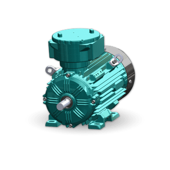 Brook Crompton Hazardous Area Motor Zone 1 WEX3