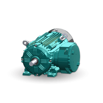 Brook Crompton Hazardous Area Motor Zone 1 Flameproof