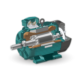 WE WIMES Spec Motor Inside View 180L Frame